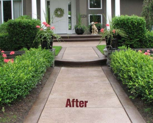 concrete walkway after sealing