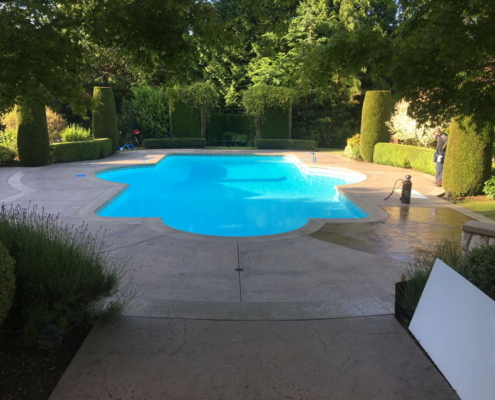 stamped concrete pool deck hedges before sealing