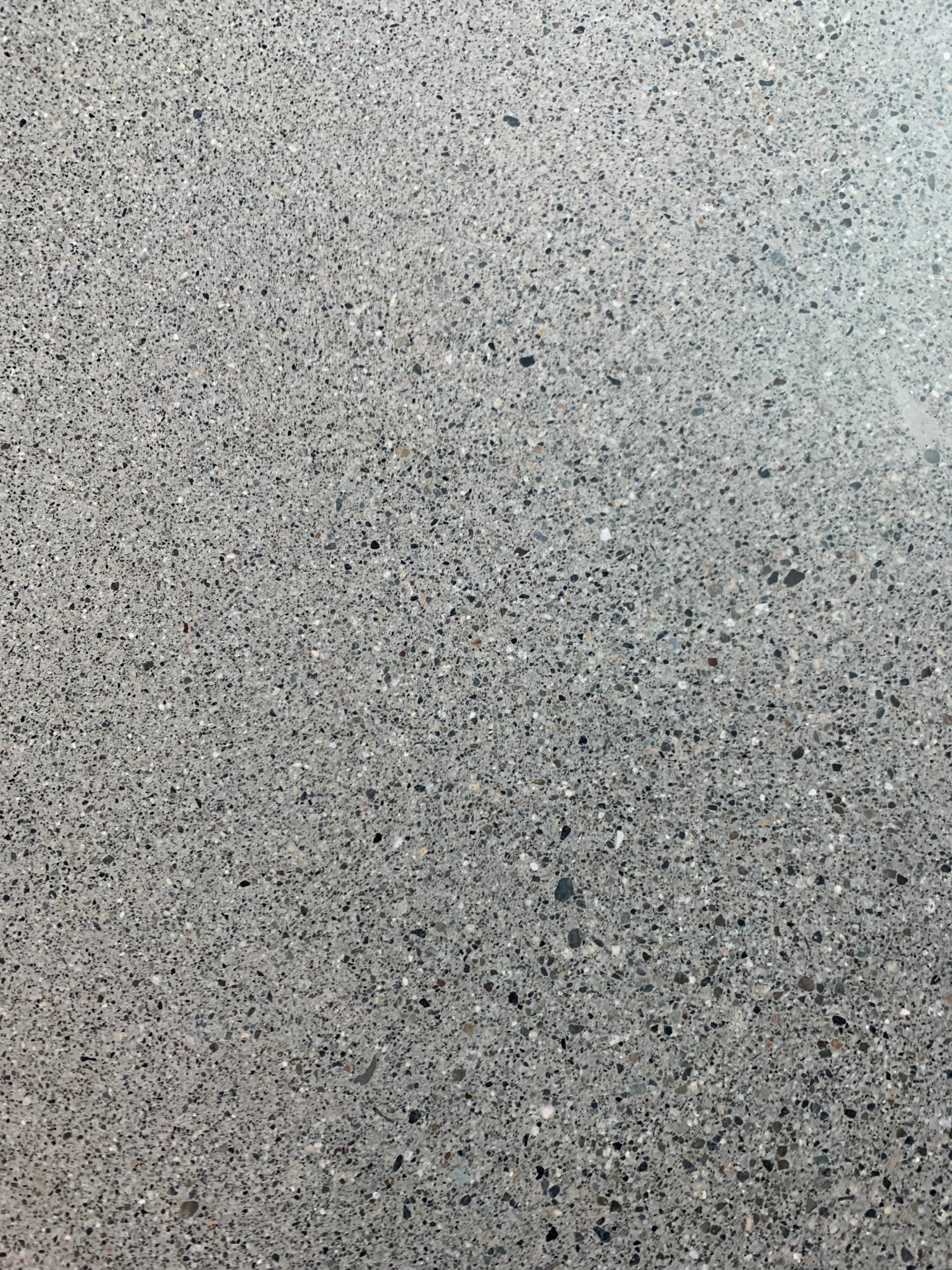 grey black polished concrete fraser valley
